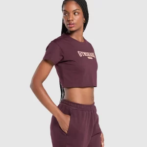 CROP LIFESTYLE PURPLE-Gymsis502