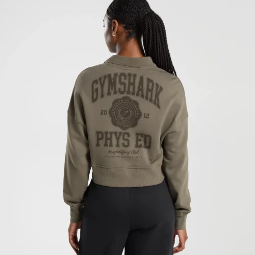 PHYS BROWN 2-GYMSIS502